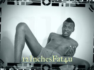 12InchesFat4u