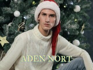 ADEN_NORT Cube Lille
