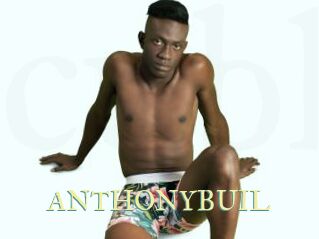 ANTHONYBUIL