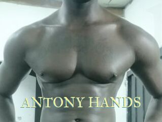 ANTONY_HANDS