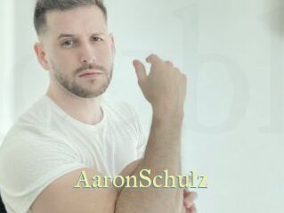 AaronSchulz