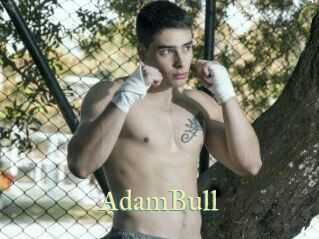 AdamBull