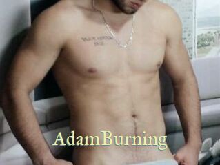 AdamBurning