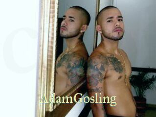 AdamGosling