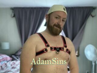 AdamSins