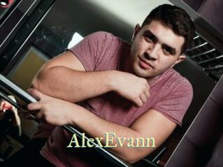 AlexEvann Cube Lille