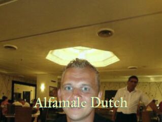 Alfamale_Dutch Cube Lille