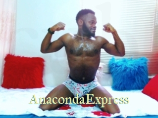AnacondaExpress