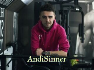 AndiSinner