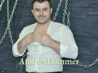 AndrewHammer