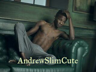 AndrewSlimCute