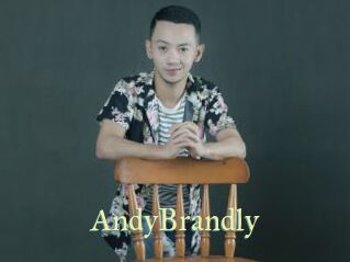 AndyBrandly
