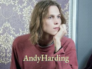 AndyHarding Cube Lille