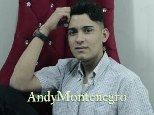 AndyMontenegro Cube Lille