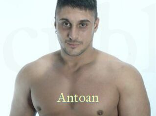 Antoan
