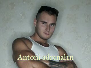 Antoni_adrenal1n