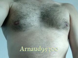 Arnaud95300