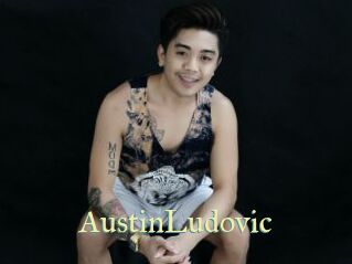 AustinLudovic Cube Lille