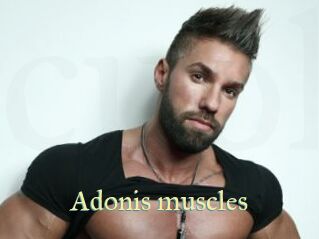 Adonis_muscles