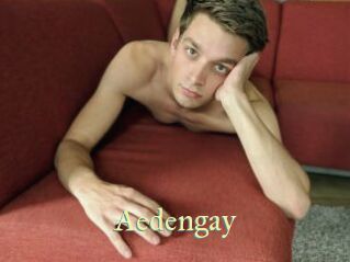 Aedengay
