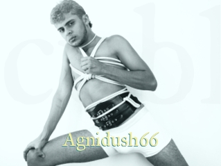 Agnidush66
