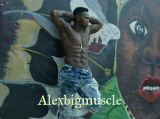 Alexbigmuscle