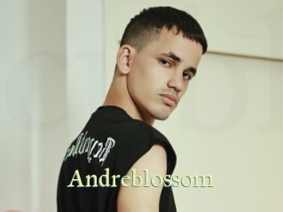Andreblossom