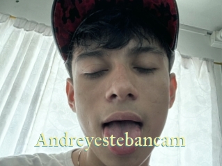 Andreyestebancam