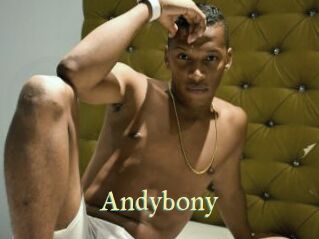 Andybony