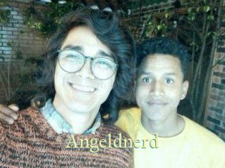 Angeldnerd