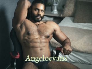 Angeloevans