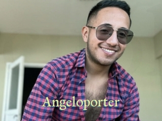 Angeloporter