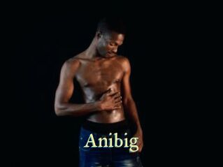 Anibig