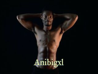 Anibigxl