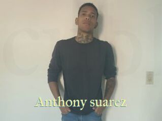 anthony_suarez Cube Lille