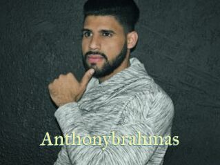 Anthonybrahmas