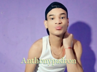 Anthonypadron