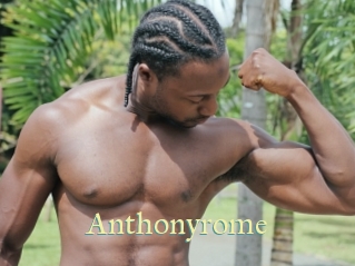 anthonyrome Cube Lille