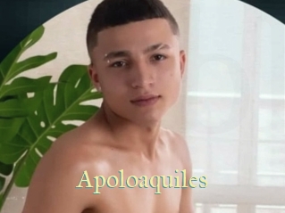 Apoloaquiles