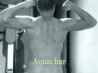 Aquachar