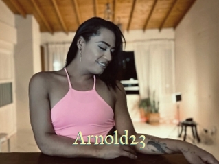 arnold23 Cube Lille