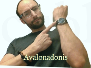 Avalonadonis