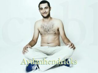 Aydanhendricks