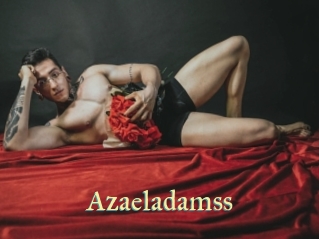 azaeladamss Cube Lille