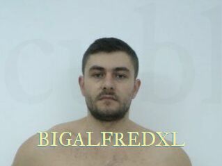 BIGALFREDXL