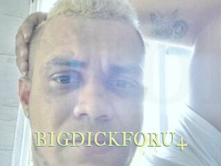 BIGDICKFORU4
