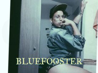 BLUEFOOSTER