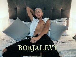 BORJALEVY
