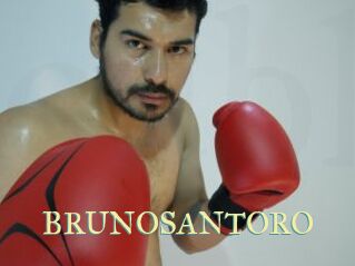 BRUNOSANTORO
