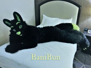 BaniBun
